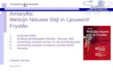 Amaryllis: Welzijn Nieuwe Stijl in Ljouwert/ Frysl¢n