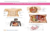 1. Anatomie van het abdomen - gez .1. Anatomie van het abdomen Dept of Pharmacy & Toxicology Dept