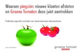 Groene tomaat acquisitie: effectief nieuwe klanten winnen
