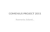 COMENIUS PROJECT 2011