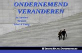 ONDERNEMEND VERANDEREN Jo Sanders Vennoot Ernst & Young