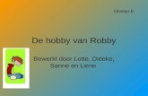 De hobby van Robby Bewerkt door Lotte, Dideke, Sanne en Liene Niveau 8