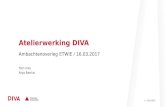 Atelierwerking DIVA (Tom Iriks & Anja Baelus)