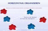 HORIZONTAAL ORGANISEREN - Herman St MOMENTOPNAME Klant Product/ dienst Verkoop Ontwerp Productie Installatie