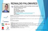 CV ReinaldoP + portfolio