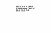 RESERVOIR FORMATION DAMAGE - Elsevier · PDF file Formation Damage Testing, 564; Recommended Practice for Laboratory Formation Damage Tests, 577; Protocol for Standard Core Flood Tests,