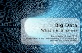 Toepassing van Big Data in de Fysieke Leefomgeving